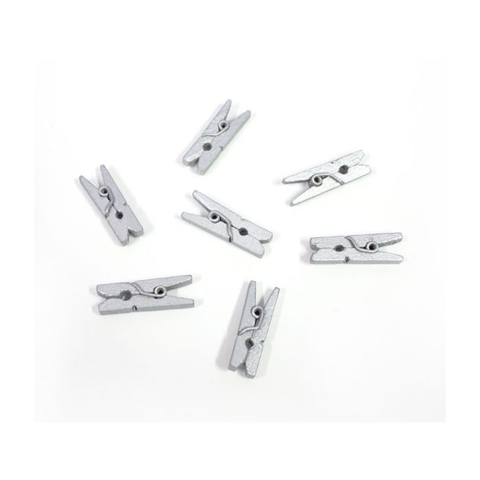 Mini Knijpertjes Zilver (24st)