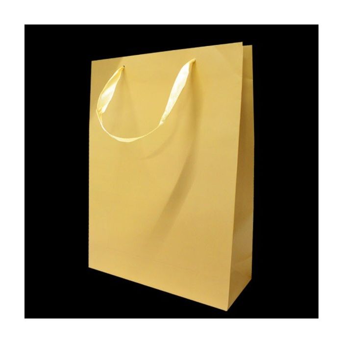Kartonnen Cadeautas L Goud