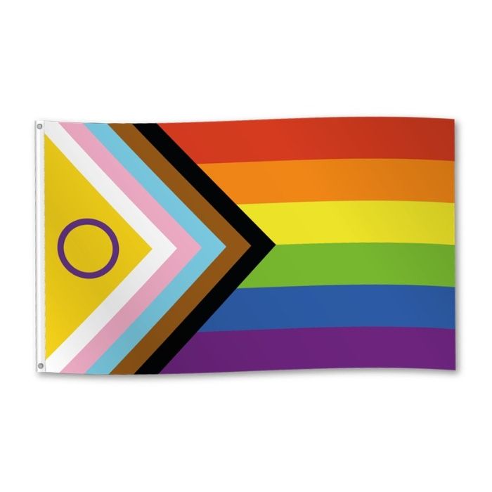 Vlag Progress Pride