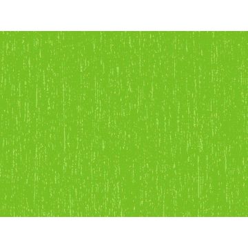 Crêpepapier Groen