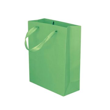 Kartonnen Cadeautas M Groen (12st)