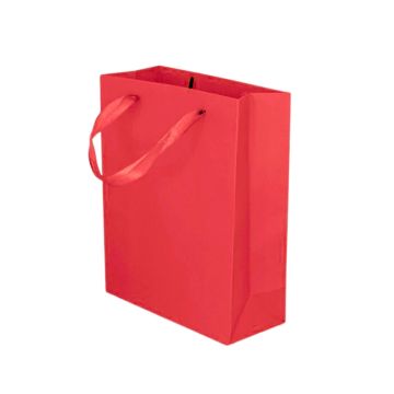Kartonnen Cadeautas M Rood (12st)