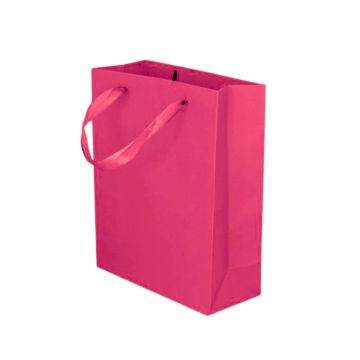 Kartonnen Cadeautas M Fuchsia (12st)