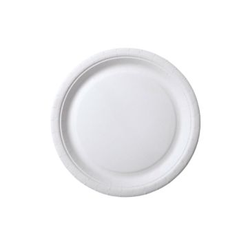Kartonnen Bordjes Wit 18cm 20st