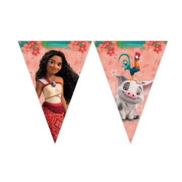 Papieren Vlaggenlijn Vaiana
Vaiana Thema Vlaggen