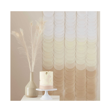 Backdrop Disc Brown Ombre Ginger Ray 