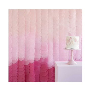 Backdrop Disc Roze Ombre Ginger Ray 