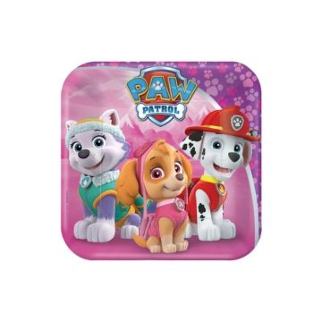 Vierkante bordjes Paw Patrol Skye & Everst
