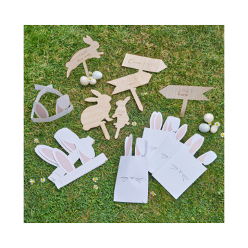 Paaseiseren Zoekspel Ginger Ray (18dlg) 