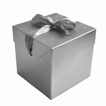 Cadeaudoos Zilver (10x10x10cm)