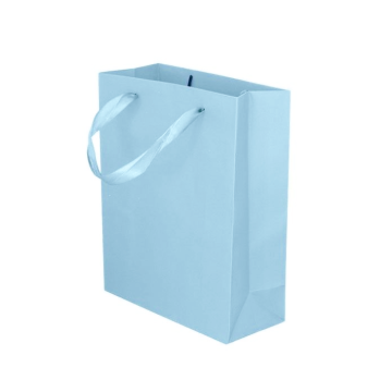 Kartonnen Cadeautas M Lichtblauw (12st)