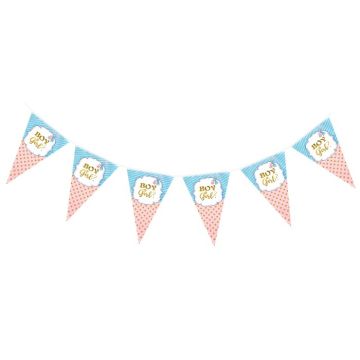 Vlaggenlijn Boy or Firl