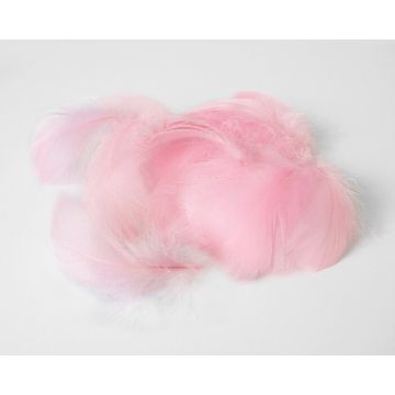 Decoratie Veren Roze (±50st)