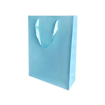 Kartonnen Cadeautas L Blauw
