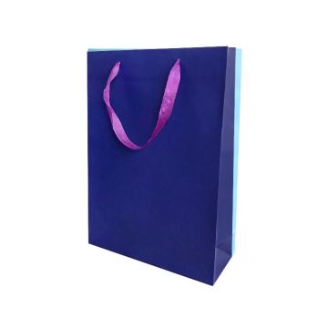 Kartonnen Cadeautas L Blauw