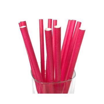 Papieren Rietjes Fuchsia (12st)