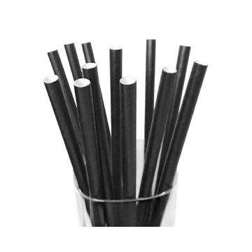 Papieren Rietjes Zwart (12st)