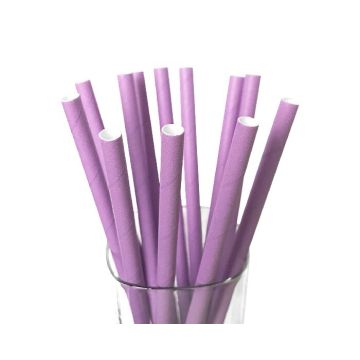 Papieren Rietjes Paars (12st)