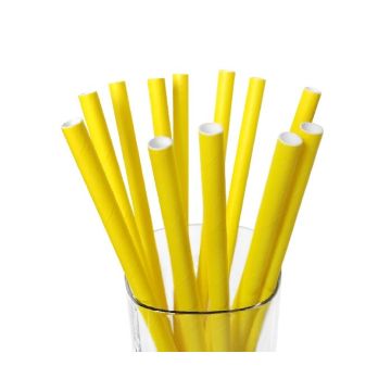 Papieren Rietjes Geel (12st)