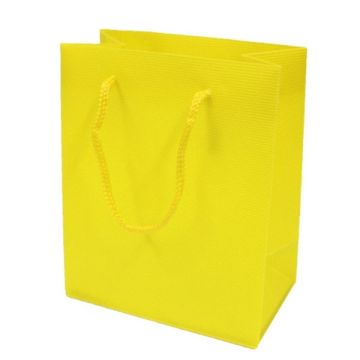 Plastic Cadeautas S Geel (12st)