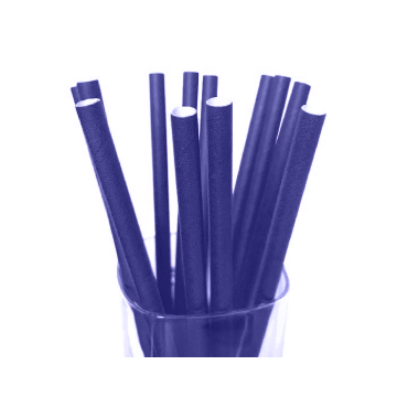 Papieren Rietjes Donkerblauw - 19,5x0,5cm - 12 stuks