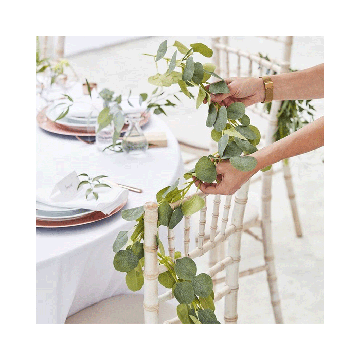 Slinger Eucalyptus Botanical Wedding Ginger Ray