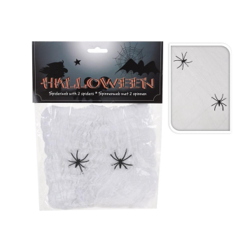 Spinnenweb met 2 spinnen 