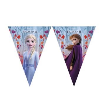 Vlaggenlijn Frozen Blauw