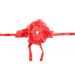 (Pols)Corsage Rood