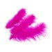 Decoratie Veren Fuchsia