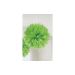 Pompom 48cm Groen