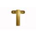 Letterslinger I Goud