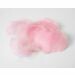Decoratie Veren Roze (±50st)