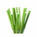 Papieren Rietjes Groen (12st)