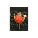 Corsage 'Natural' Rood