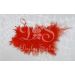 Decoratie Veren Rood