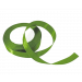 Satijnlint 2cm Groen