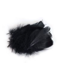 Decoratie Veren Zwart (±50st)