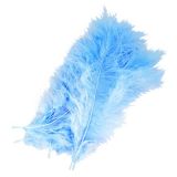 Decoratie Veren Blauw ± 50st