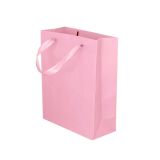 Kartonnen Cadeautas M Roze (12st)