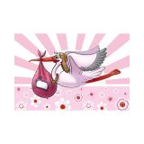 Raamvlag Geboorte Meisje