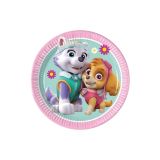 Kartonnen bordjes Skye & Everest 