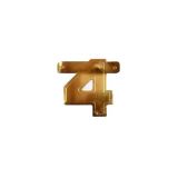 Letterslinger 4 Goud