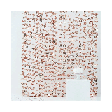 Backdrop Bloemen Roségoud Ginger Ray
