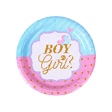 Bordjes Gender Reveal 