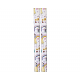 Cadeaupapier Disney Princess (2 rollen)