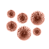 Deco Waaiers Metallic Roségoud 6dlg