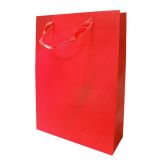 Kartonnen Cadeautas L Rood