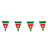 Vlaggenlijn Suriname (10m)
